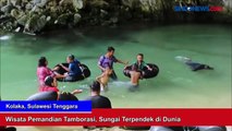 Wisata Pemandian Tamborasi, Sungai Terpendek di Dunia