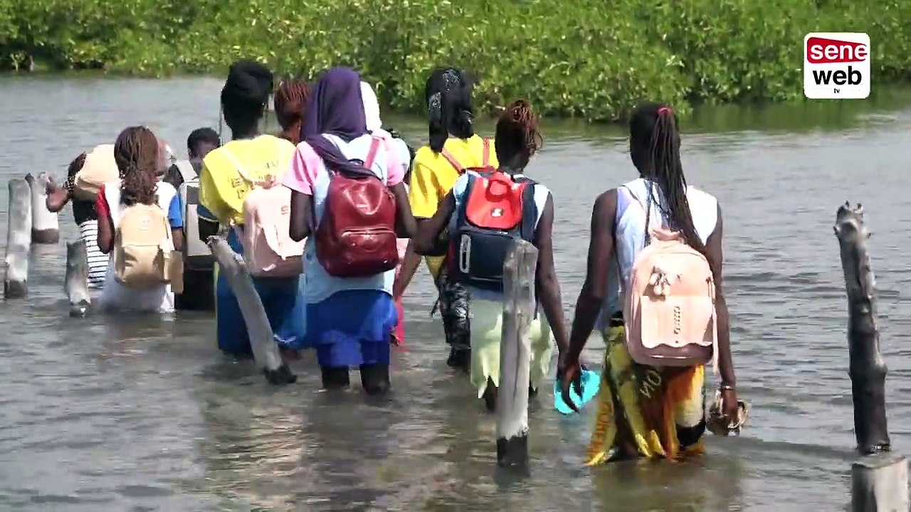 Ponton défectueux, traversée pénible..., voyage dans l'enfer des élèves de Fambine
