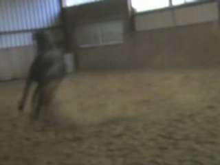 MURK 21 MARS 2008 MUSIQUE