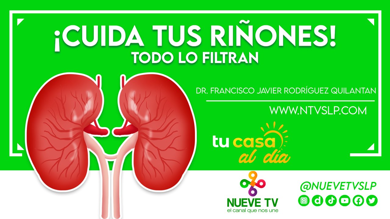 ¡Cuida tus riñones!
