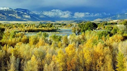 As Cores do Amor | movie | 2021 | Official Trailer