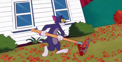 The Tom and Jerry Show S03 E18