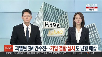 과열된 SM 인수전…기업 결합 심사도 난항 예상