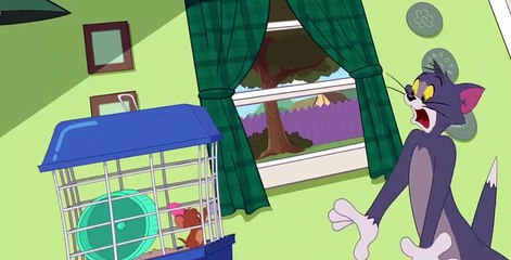 The Tom and Jerry Show S03 E19