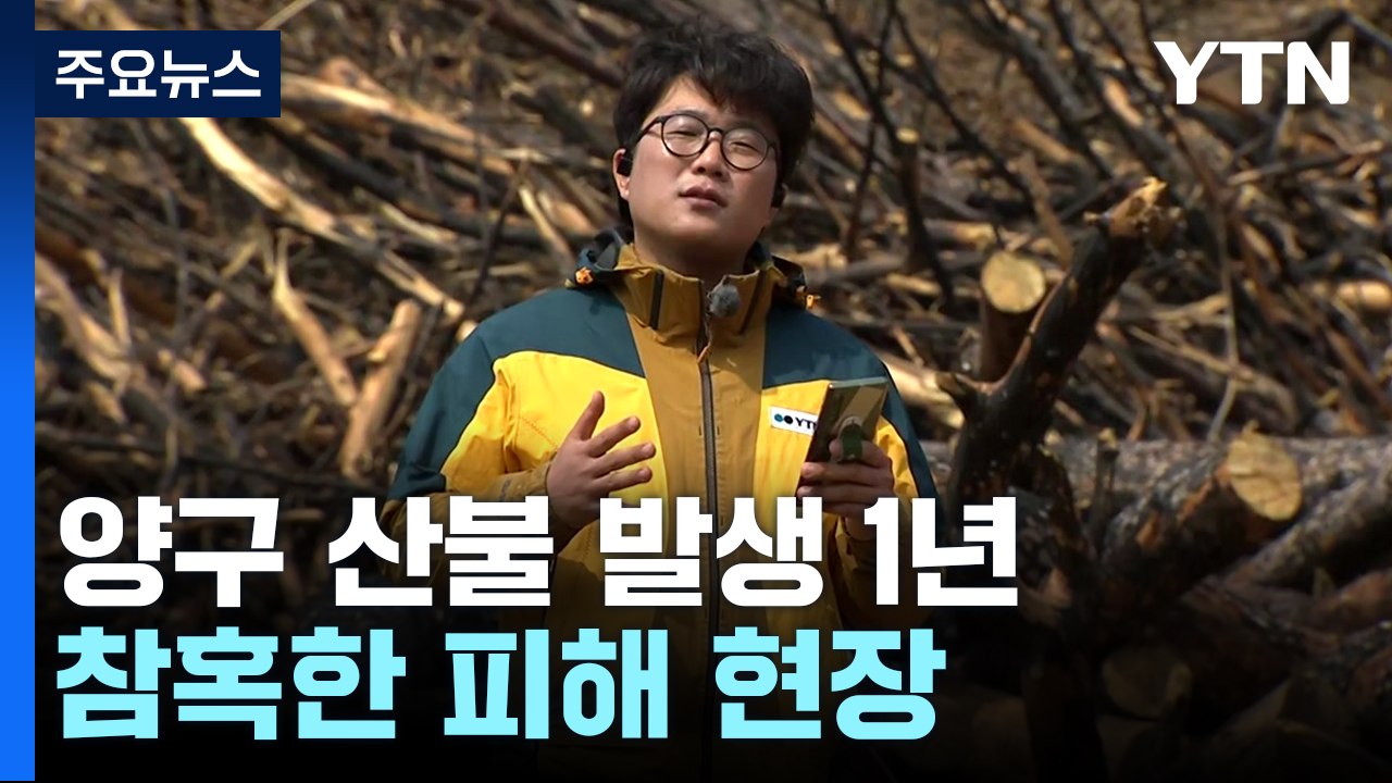 산불 발생 1년, 참혹한 피해 현장...대형 산불 '경계경보' / YTN