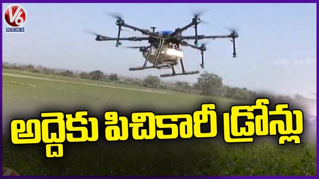 TS Agros Plans To Give Rental Spraying Drones To Farmers | V6 News