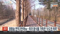 기지개 켜는 광릉숲 동식물…생동하는 국립수목원