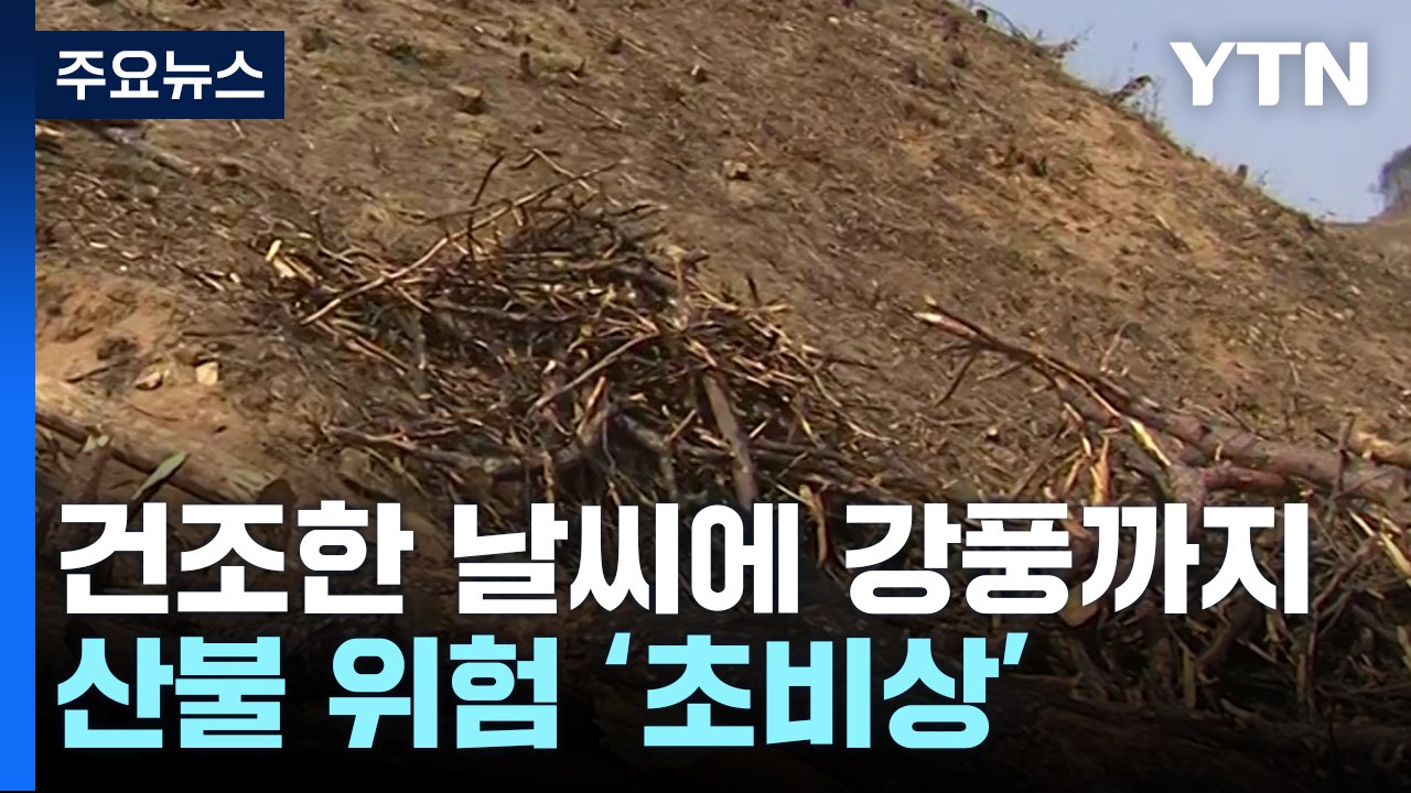 산불 발생 1년, 참혹한 피해 현장...대형 산불 '경계경보' / YTN