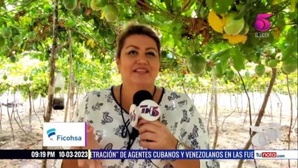 TN5 Estelar - 10 de Marzo de 2023