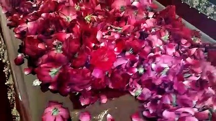 5حضرت ڈاکٹر سید مفضل محی الدین قادری فاضلی دامت برکاتہم العالیہ بارھویں سجادہ نشین دربار قادریہ فاضلیہ بٹالہ شریف2023-1684، فاضلیہ کالونی، فیروزپور روڈ، لاھور۔