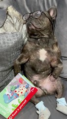 When You Nod Off Reading and Wake Up Not Knowing Where You Are