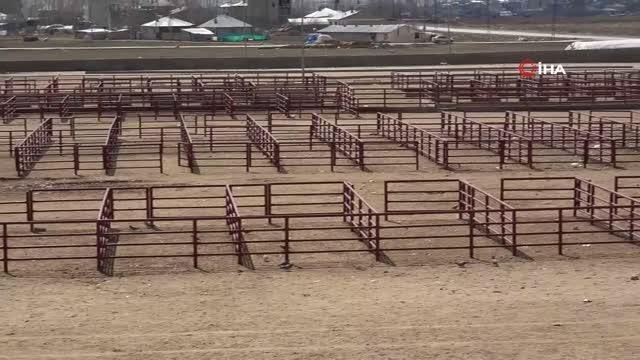 Van'da şap alarmı: Hastalık nedeniyle hayvan pazarı kapatıldı
