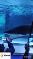 Antalya Aquarium admission with City Tour - Alanya Best Trips