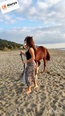 Alanya Horse Riding Tour - Alanya Best Trips