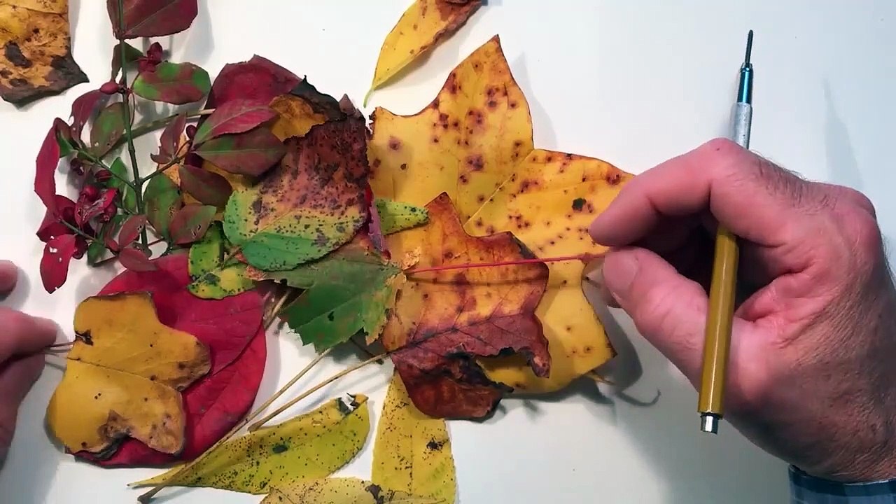 Watercolor Lesson 2A