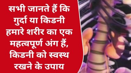 वाराणसी: गुर्दा या किडनी हमारे शरीर का एक महत्वपूर्ण अंग,जानें स्वस्थ रखने के उपाय