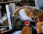 The Wombles The Wombles S02 E025 The Snow Wombles