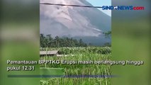 Erupsi Gunung Merapi, Hujan Abu dan Awan Panas Mulai Tutupi Desa di Magelang hingga Boyolali
