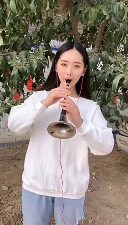 Example Traditional instrument