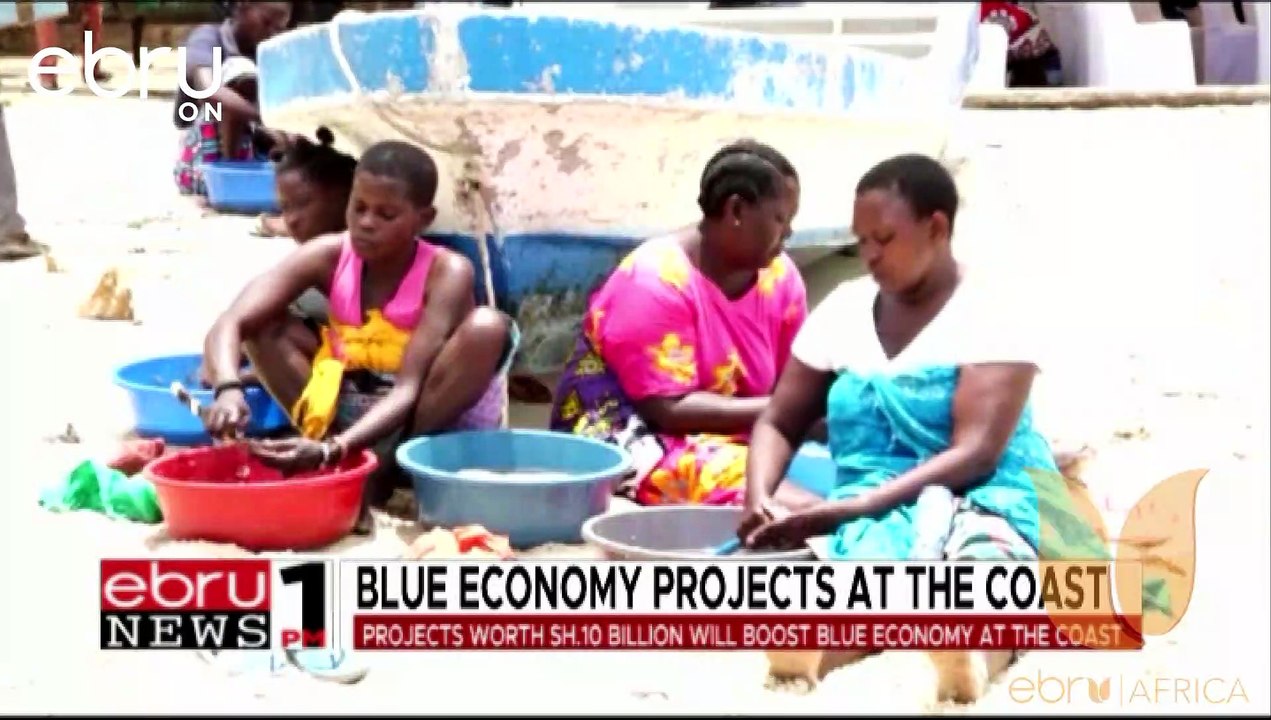 The Government's Implementation Of Blue Economy Projects At The Coast