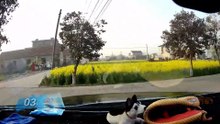 중국 자동차 사고 영상 모음 2023. 3. 11.