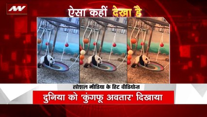 VIRAL VIDEOS : सोशल मीडिया पर VIRAL VIDEOS