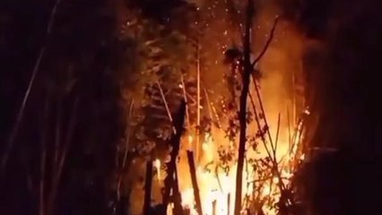 बैतूल: आयकर और वन विभाग के ऑफिस के बीच बांस की झाड़ी में लगी भीषण आग