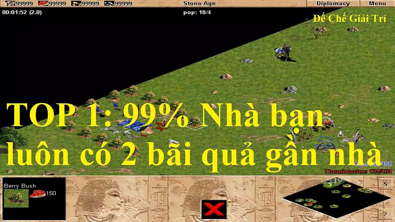 TOP 5 điều bạn nên biết về bãi quả trong AOE