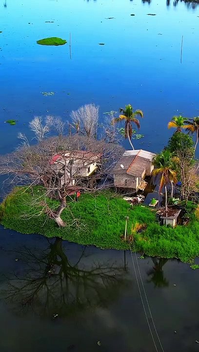 #nature