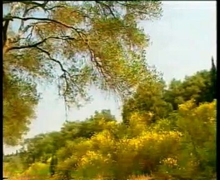 7 - Universo Matemático - Mujeres Matemáticas