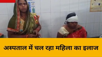 भदोही: अनियंत्रित ऑटो पलटने से मचा हड़कंप, देखिये रिपोर्ट