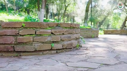 مسلسل النار الباردة الحلقة 12