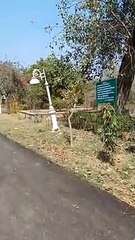 कंपनी बाग में फैंसी लाइटें कभी भी गिर सकती...देखें वीडियो