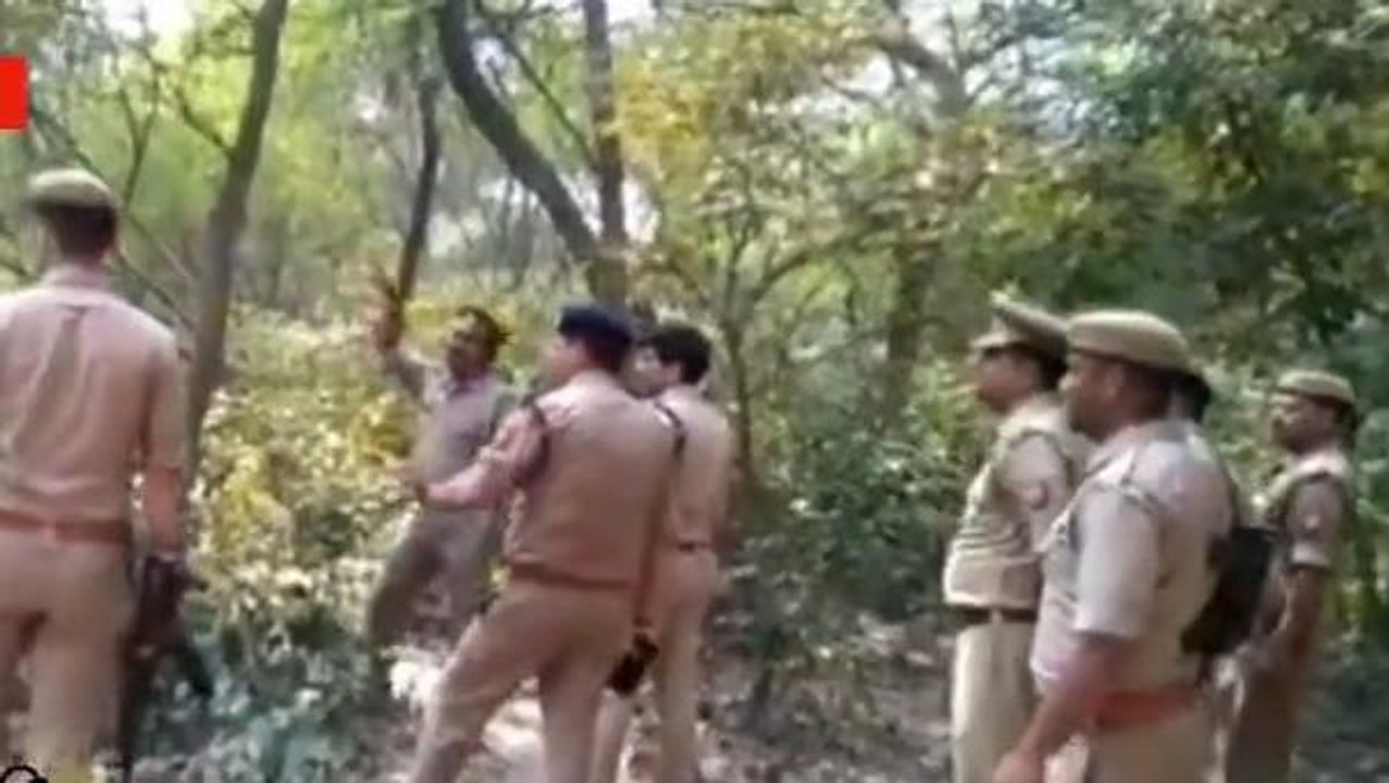 सीतापुर: फांसी के फंदे पर लटका मिला युवक - युवती का शव, मचा हड़कंप