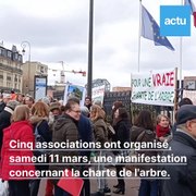 Ecologie : des associations réclament une vraie chartre de l'arbre aux élus de Maisons-Laffitte, dans les Yvelines