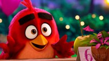 Un oiseau amoureux d'une poulette | Angry Birds 2 | Extrait VF