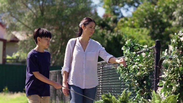 zrc Pet Insurance – Dog Park TVC (60 Sec)