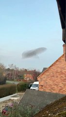 Beautiful Starling Murmuration Creates Stunning Formations