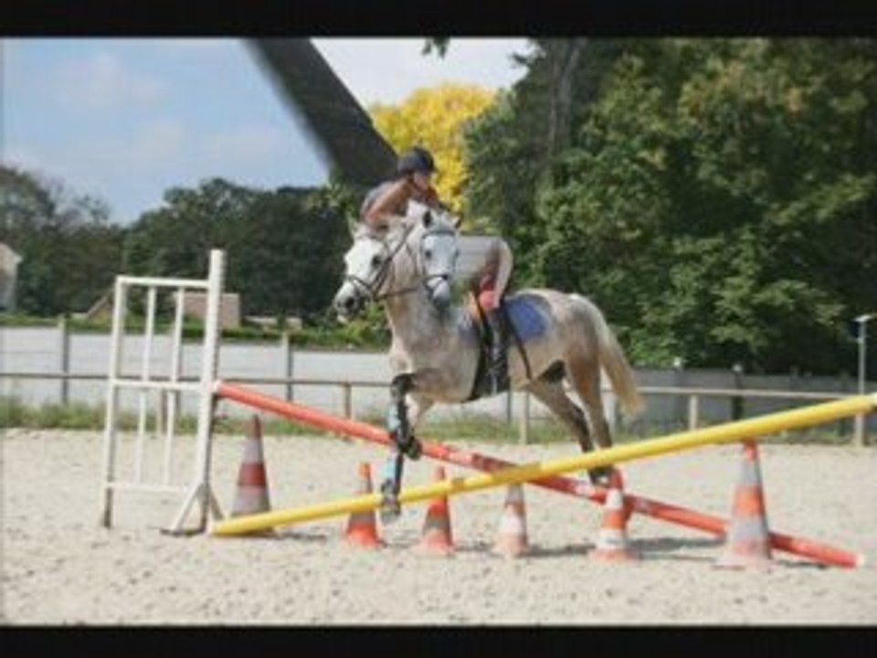 Oasis du 18 aout 2007 jusqu'au 16 décembre 2007