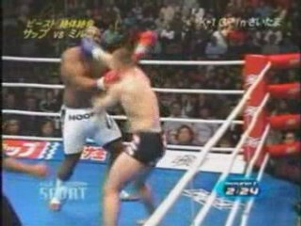 Mirko Cro Cop VS Bob Sapp