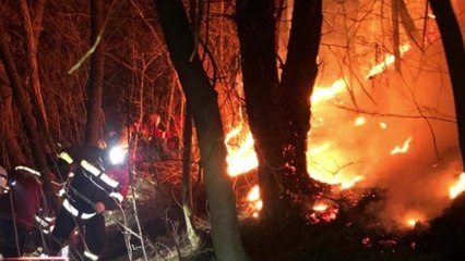 하동 산불 현장서 60대 진화대원 숨져...밤사이 곳곳 화재 / YTN