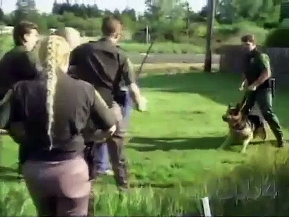 Cops - Se4 - Ep23 HD Watch