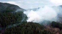 Yol kenarına atılan sigara izmariti ormanlık alanda yangın çıkardı