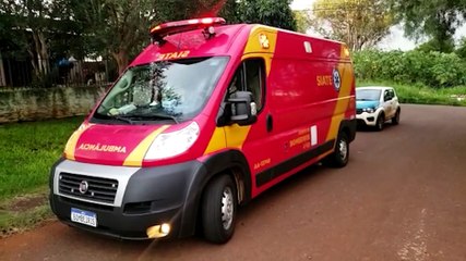 Homem mordido por Chow-chow é socorrido pelo Siate