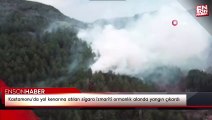 Kastamonu'da yol kenarına atılan sigara izmariti ormanlık alanda yangın çıkardı