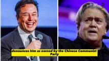 Elon Musk calls Steve Bannon 