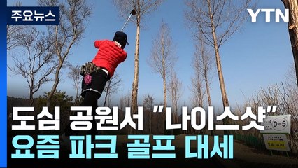 도심 공원서 "나이스샷"...요즘은 파크골프가 대세 / YTN
