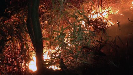 하동 산불 현장서 60대 진화대원 숨져...밤사이 곳곳 화재 / YTN