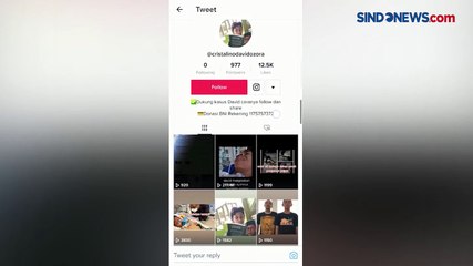 Akun Bodong Catut Nama David Korban Penganiayaan Anak Pejabat Pajak untuk Galang Dana