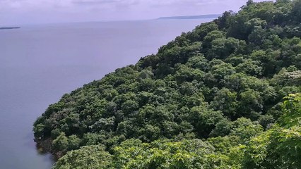 7 राज्यों के 56 बर्डर्स तीन दिनों तक गांधीसागर में 23 रुट पर बर्ड की करेंगे गिनती